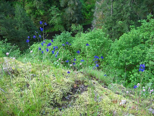 Eagle Creek-112.JPG - Eagle Creek